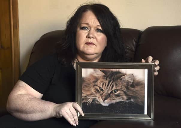 Debbie Gunn is desperate to find therapy cat, Charley. Pic: Lisa Ferguson.