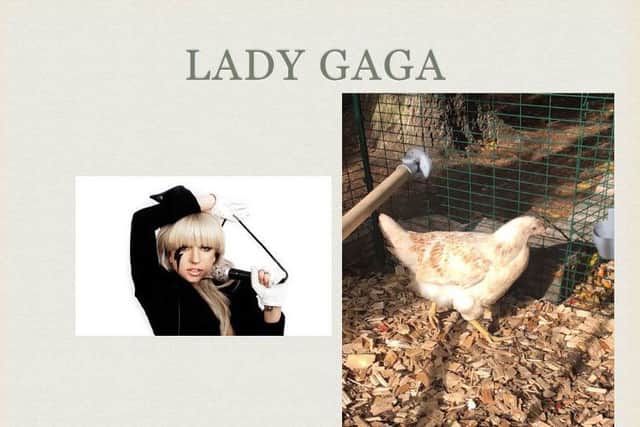 Lady Gaga then hen was among the victims