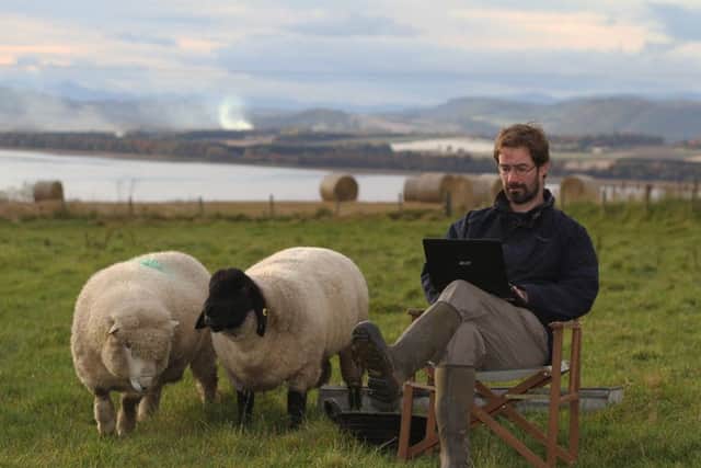 Farmer and author James Oswald crafts his latest novel watched by two of his sheep