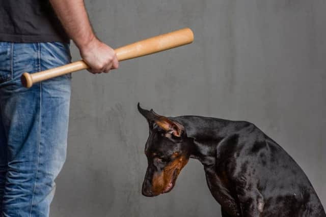 A man standsa with a baseball bat above a dog. Pic: Ermolaev Alexander/Shutterstock