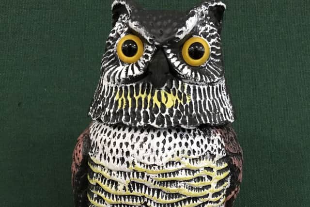 Alfred the Owl will be engaging park users to shape the future of our parks. Picture: contributed