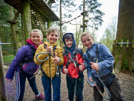 Kids can experience a day to remember at Go Apes' Tree Top Adventure