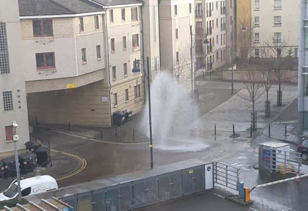 The water burst in Riego Street. Pic: Scott Macdonald