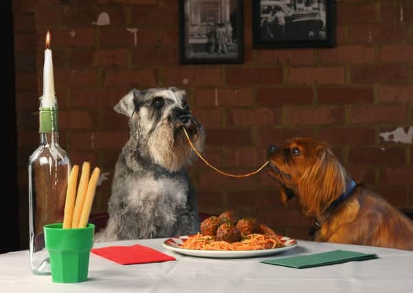A recreation of the iconic Lady and the Tramp 'spaghetti and meatballs' scene. Pic: Contributed