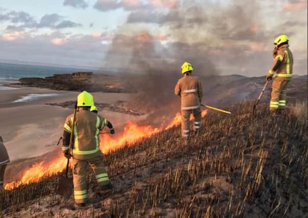 Firefighters tackling the flames on Aberlady local nature reserve. Pic: Stewart Duff.