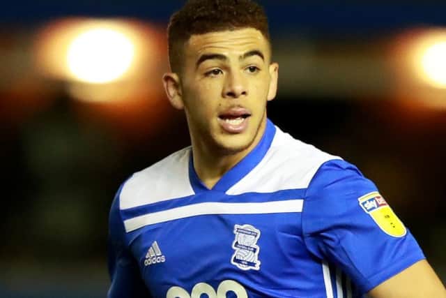 Che Adams has knocked back an invitation to commit to Scotland