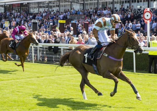 Musselburgh host their second day of racing in a row on Thursday. Pic: TSPL