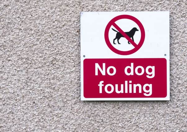 Dog fouling is a blight near many schools