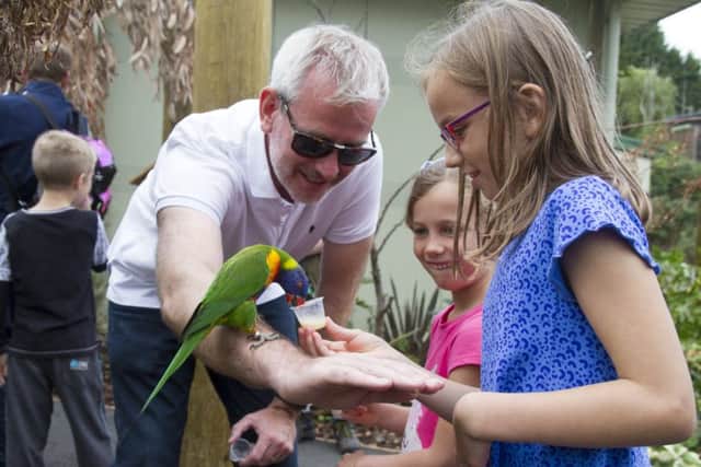 A young visitor feeds nectar by hand to the resident rainbow lorikeets at Edinburgh Zoo