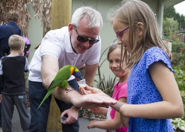 A young visitor feeds nectar by hand to the resident rainbow lorikeets at Edinburgh Zoo