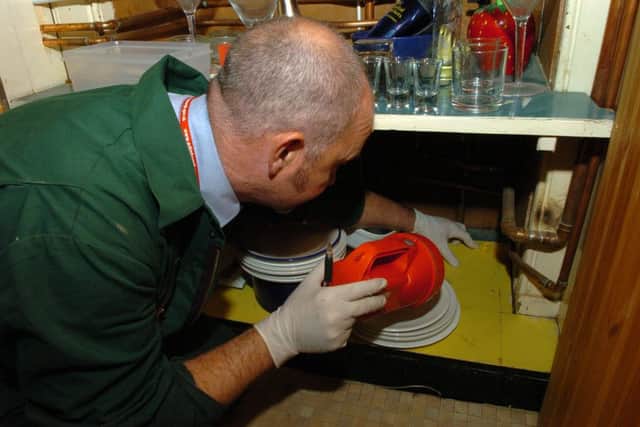 Pest control call-outs have risen by 20 per cent in the Capital.