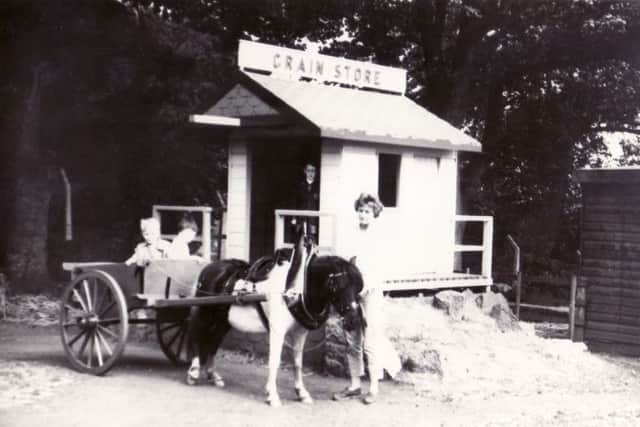 This picture shows a woman standing by as children hitch a lift in the pony and cart. Pic: RZSS