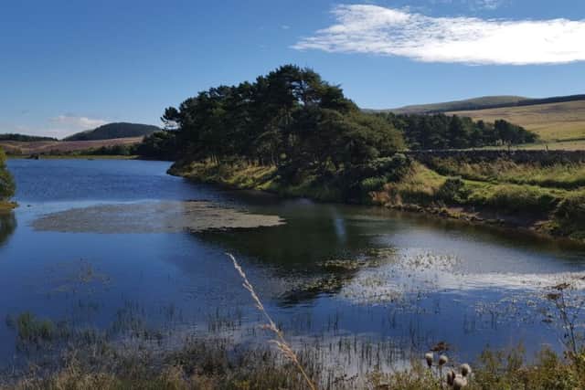 Clubbiedean Fishery. Photo by Nigel Duncan
