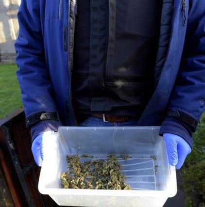 Cannabis found during drugs riads. Pic: Lisa Ferguson