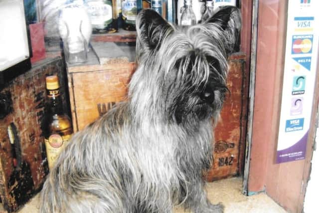 The late Maggie, in the window of Cadenhead's. Picture: TSPL