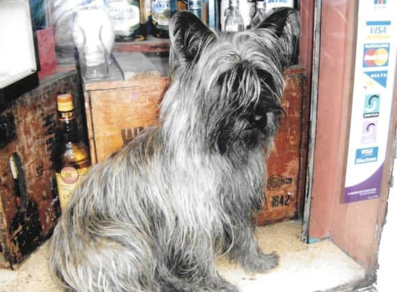 The late Maggie, in the window of Cadenhead's. Picture: TSPL
