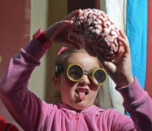 A seven-year-old girl examines a life like human brain at the Edinburgh Science Festival. Pic: Jon Savage