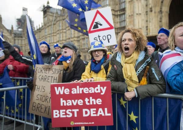 Remain: Anti-Brexit campaigners in Westminster (Picture: David Mirzoeff/PA)