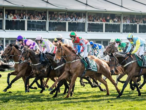 It's Grand National weekend - and organising your own sweepstake couldn't be easier. Picture: Sarah Farnsworth