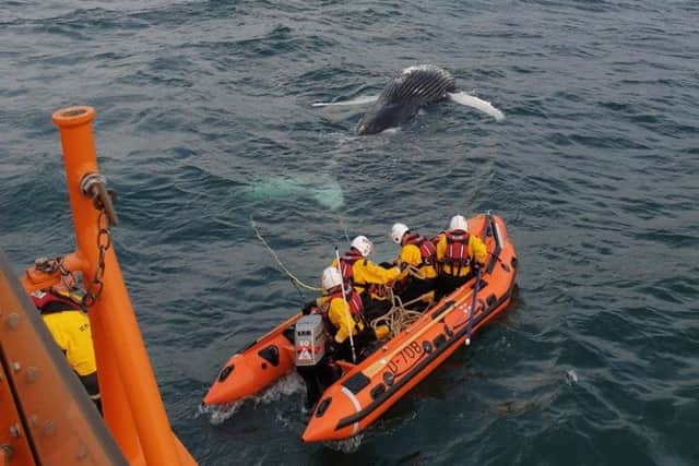 Lifeboat volunteers removed the whale. Picture: Dunbar RNLI