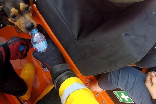 The dog was taken aboard the RNLI Kinghorn lifeboat. Pic: RNLI Kinghorn Facebook