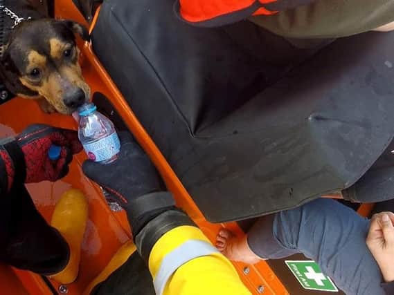 The dog was taken aboard the RNLI Kinghorn lifeboat. Pic: RNLI Kinghorn Facebook