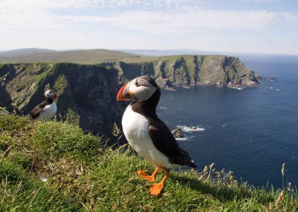 Wildlife watchers have long been drawn to Shetland - but the islands have rich pickings for those interested in history, culture, music - and fish and chips.