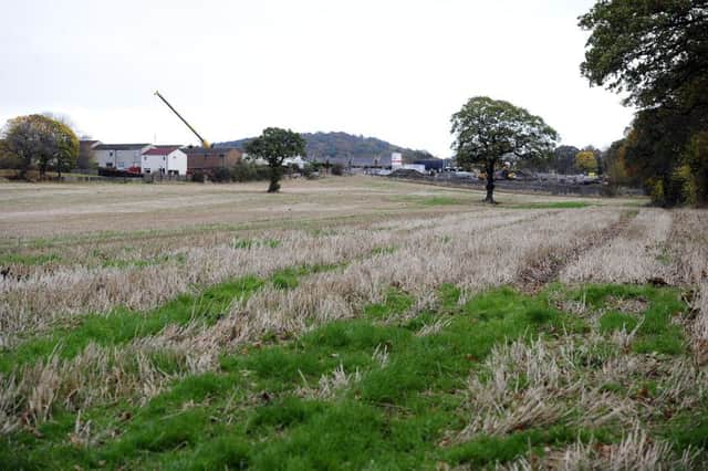 Taylor Wimpey are hopeful greenfield site can be developed. Pic: Michael Gillen