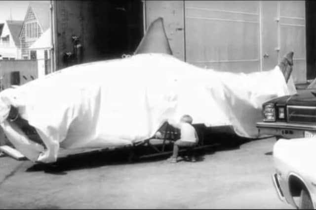 A young Ian Shaw inspects Bruce the Shark