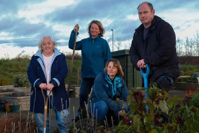 Volunteers at the Midlothian Community Hospital Garden, in Bonnyrigg, which is run by the Cyrenians. Picture: Scott Louden