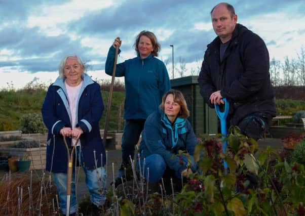Volunteers at the Midlothian Community Hospital Garden, in Bonnyrigg, which is run by the Cyrenians. Picture: Scott Louden