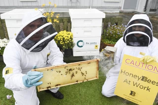 Capital Theatres' mission to help the bee population.