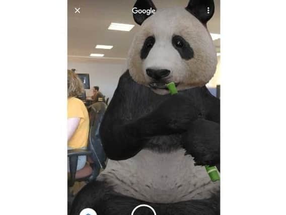 "What's black, white and AR all over?" Google tweeted in a video showing off the augmented reality panda (Photo: JPIMedia)