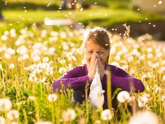 Most people are allergic to grass pollen, which is most common during late spring and early summer
