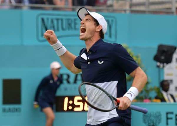 Andy Murray celebrates victory at Queen's. Picture: AFP/Getty