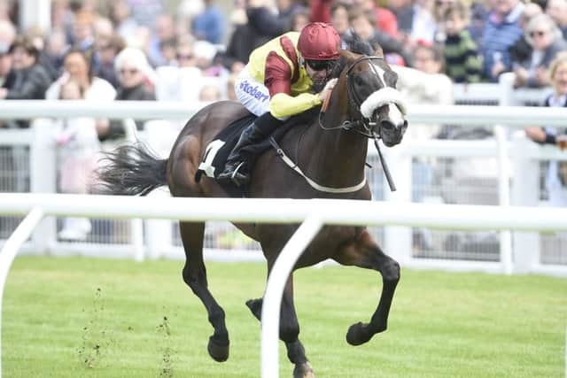 Musselburgh convenes for racing on Wednesday. Pic: TSPL