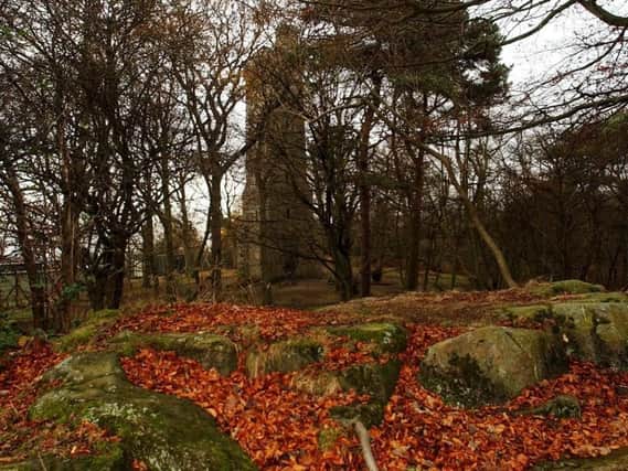 Research found those living near woodland, such as Corstorphine Hill, pictured above, are healthier and less stressed than those living closer to city centres.