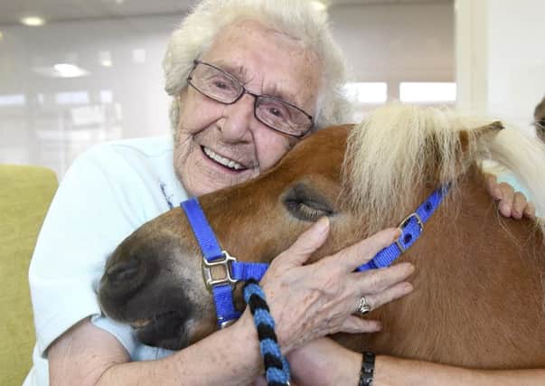 The oldest resident, Ella Olsson, 96, with the ponies


. Pic: Lisa Ferguson