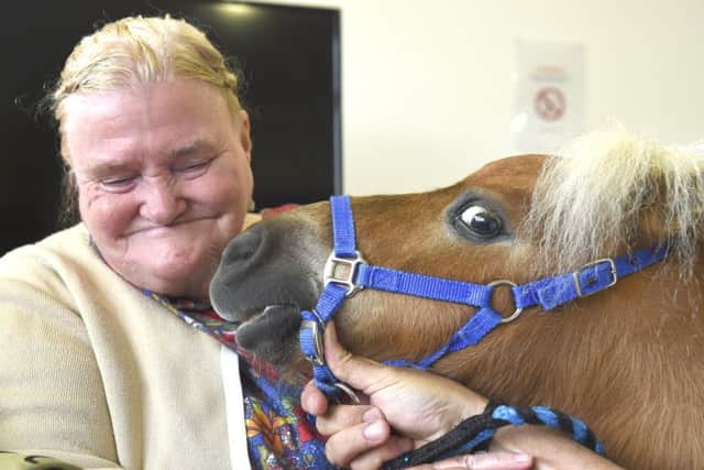 Therapy Ponies Scotland visit residents and tenants of  Elizabeth Maginnis Court. Pic: Lisa Ferguson