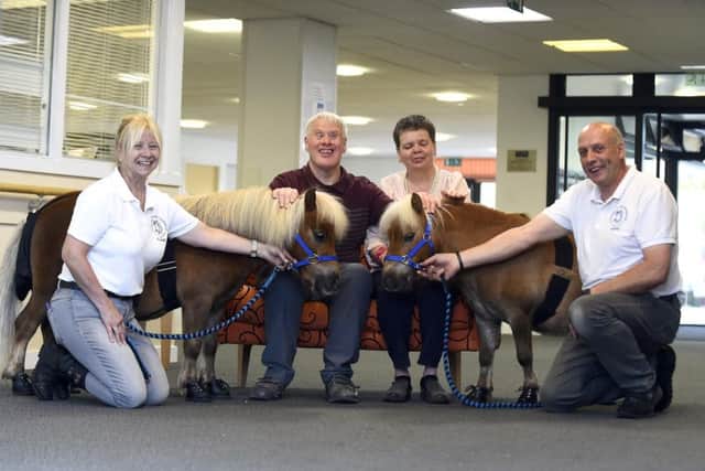 Therapy Ponies Scotland visit residents and tenants of  Elizabeth Maginnis Court. Pic: Lisa Ferguson