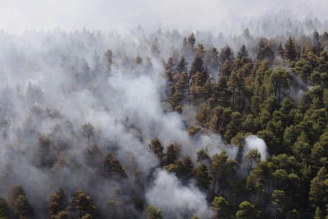 This picture shows wildfire smokes near the village of Stavros on the island of Evia (Photo: Getty Images)