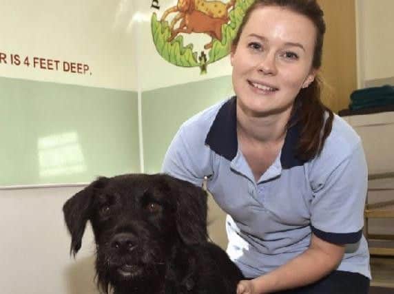 She spends every Friday at Oak Tree, helping in the rehabilitation and general wellbeing of cats, dogs and even rabbits that can benefit from physiotherapy.