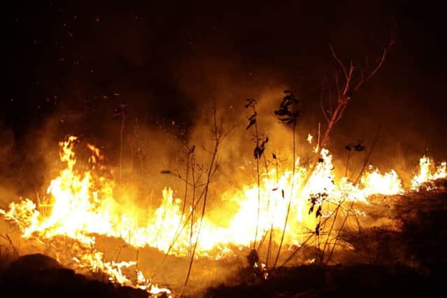 Fire rages in the Amazon. Picture: AP