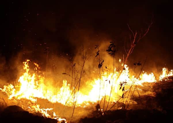 Fire rages in the Amazon. Picture: AP