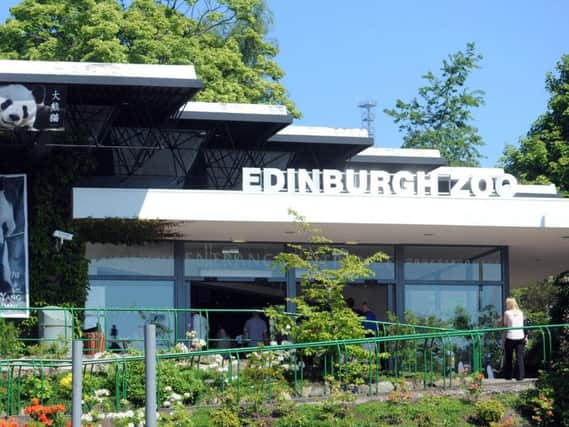 Edinburgh Zoo has witnessed a marked increase in the number of one star reviews. Picture: TSPL