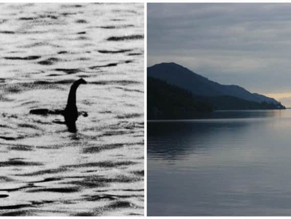 Scientists have today revealed the Loch Ness Monster could be a giant eel.