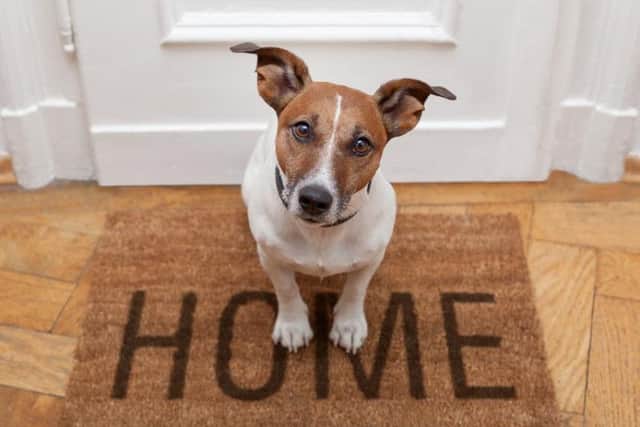 Tenants can now face additional rent charges of up to 600 annually to have pets in their home