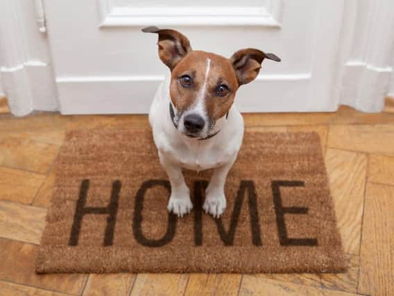 Tenants can now face additional rent charges of up to 600 annually to have pets in their home
