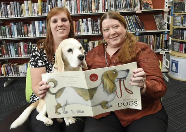 Flora the beagle appears to display a keen interest in this particular book (Picture: Greg Macvean)