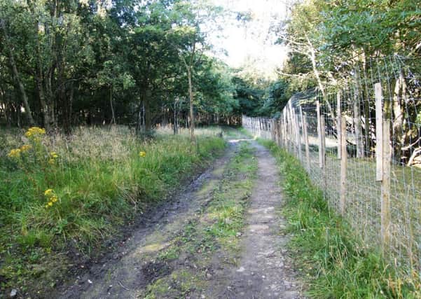 Camp Wood, near Gorebridge.